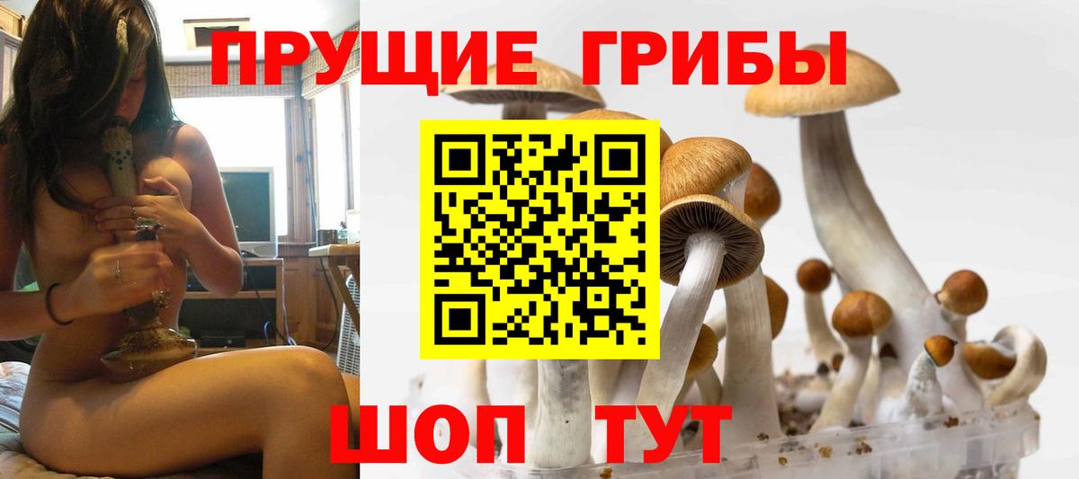 Галлюциногенные грибы прущие грибы  Вход с VPN  Новокубанск  Псилоцибиновые грибы Magic Shrooms 